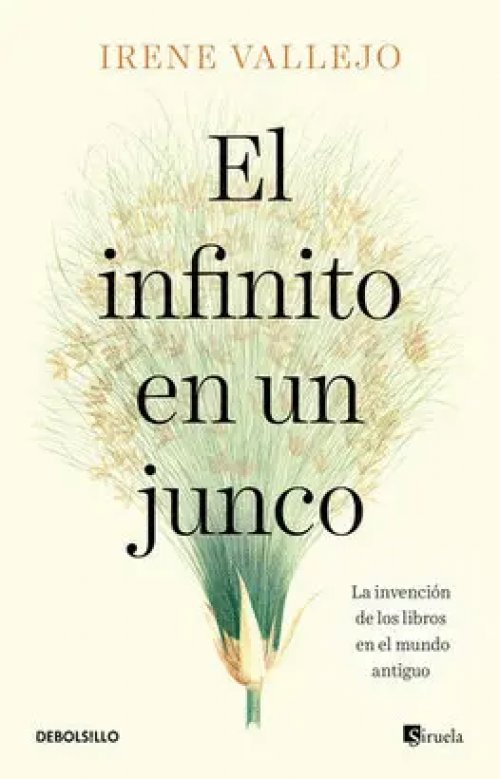 El Infinito en un Junco