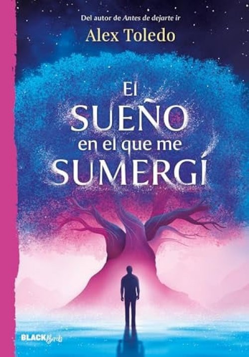 El Sueño En El Que Me Sumergí / The Dream I Was Immersed in