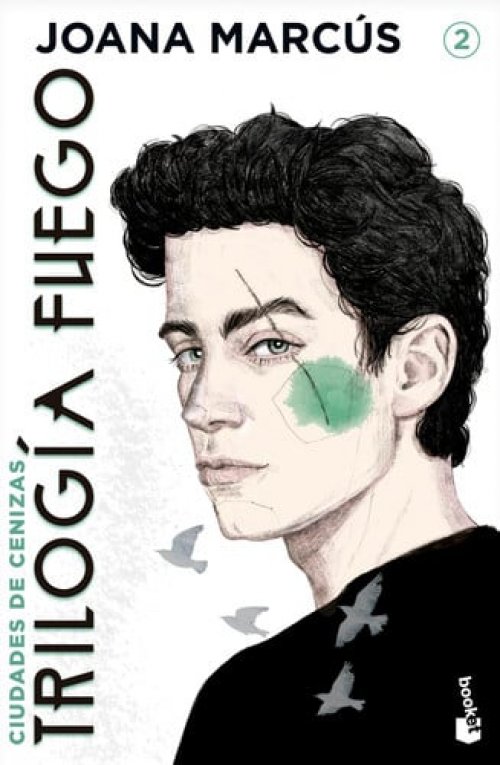Trilogía Fuego 2. Ciudades de cenizas / Fire Trilogy 2. Cities of Ashes (Spanish Edition)