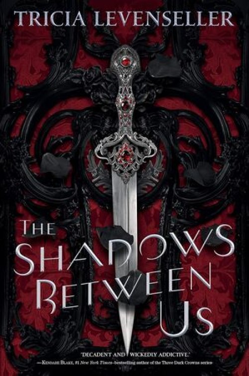 THE SHADOWS BETWEEN US