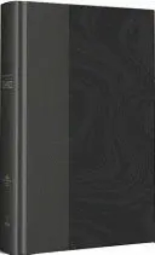 RVR 1960 Biblia de estudio Dake, tamaño grande, Tapa dura, Negra