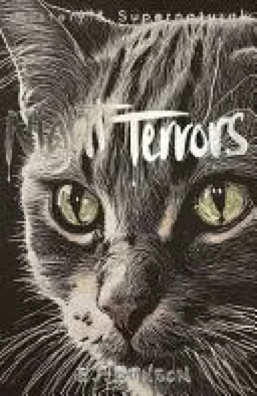 Night Terrors The Ghost Stories Of Ef Benson