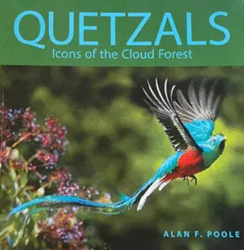 Quetzals