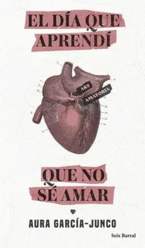 El Día que Aprendí que no sé Amar
