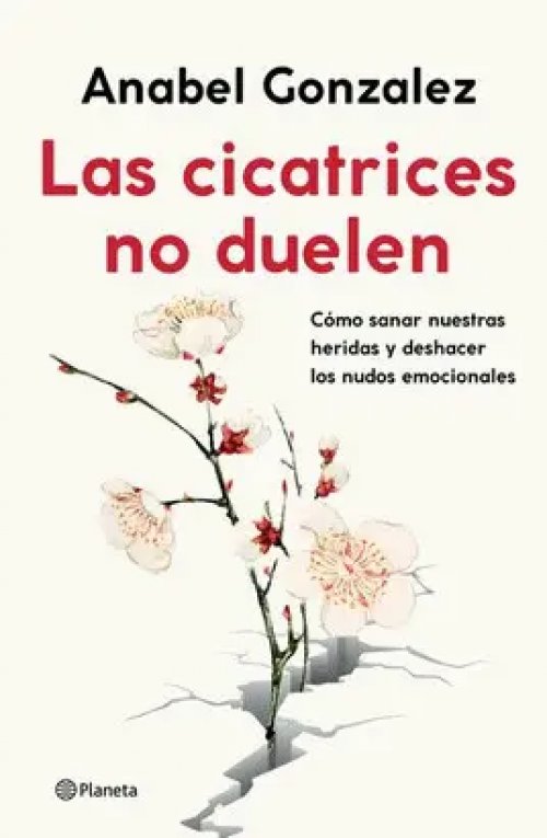 Las Cicatrices no Duelen