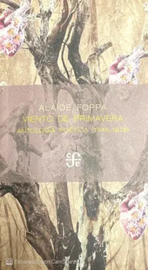 Viento de Primavera