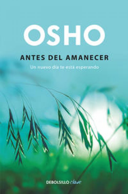 Antes del amanecer