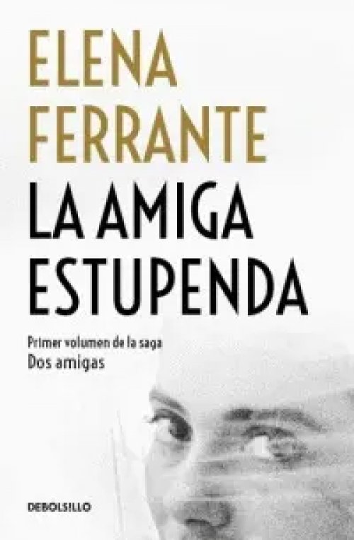 Amiga Estupenda, la (Saga Dos Amigas 1)