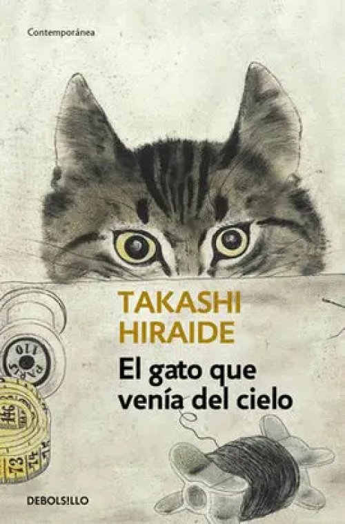 El Gato que Venia del Cielo