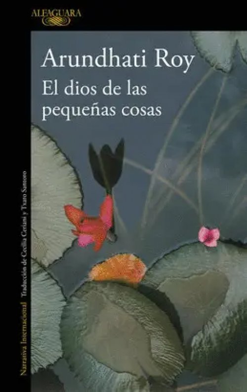 Dios de las Pequeñas Cosas, el