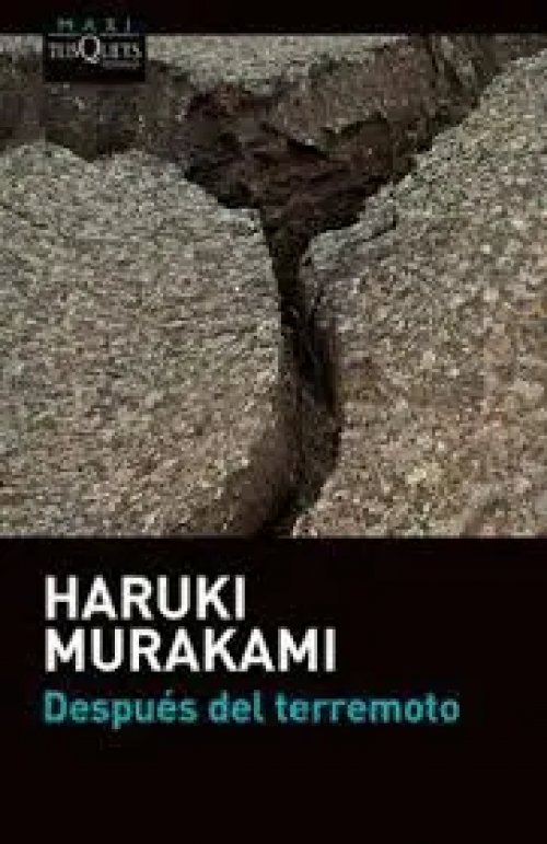 Despúes del Terremoto