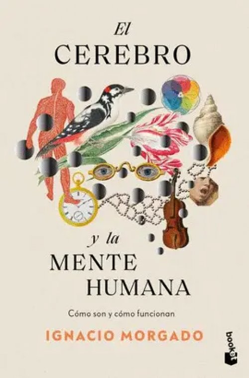 EL CEREBRO Y LA MENTE HUMANA