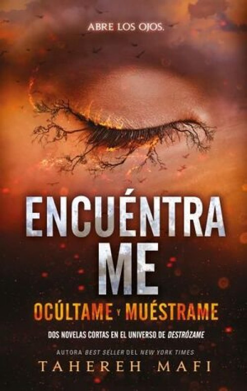 DESTROZAME 4.5: ENCUÉNTRAME