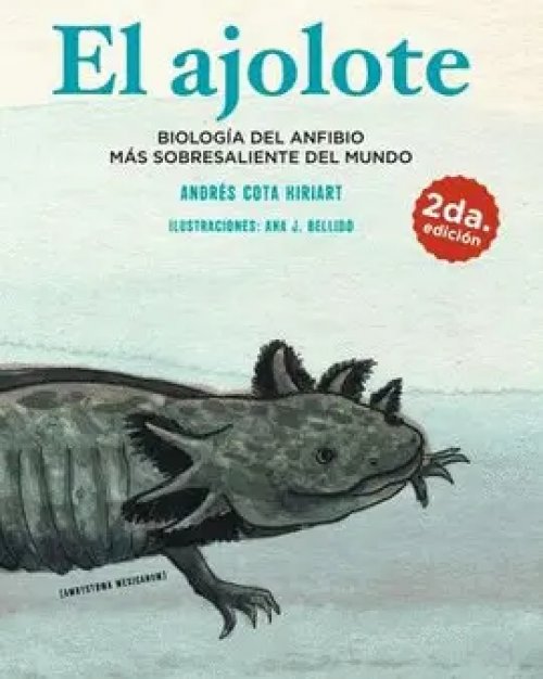 El Ajolote