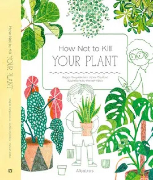 How Not To Kill Your Plant