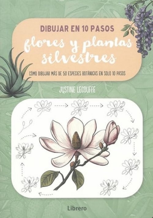 DIBUJAR FLORES Y PLANTAS SILVESTRES EN 10 PASOS