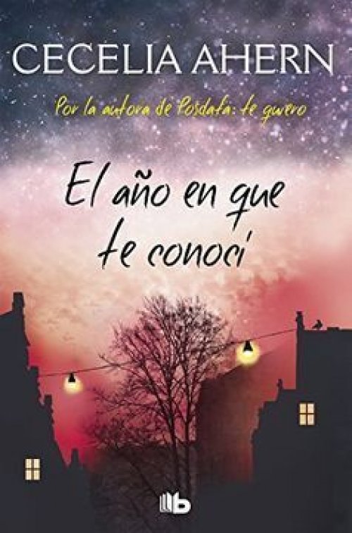 AÑO EN QUE TE CONOCI, EL