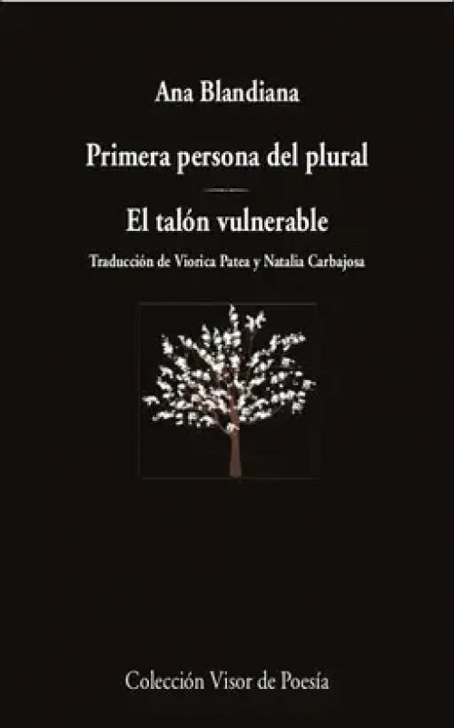 Primera Persona del Plural / el Talón Vulnerable
