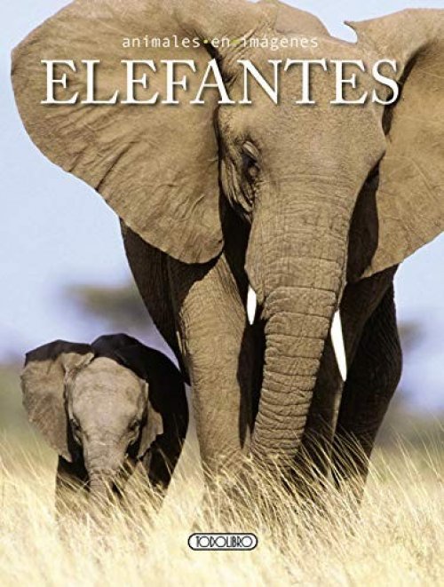 Elefantes