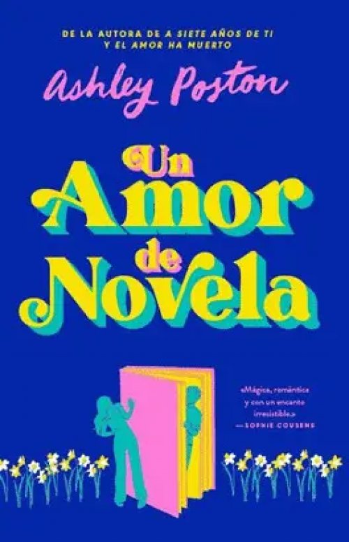 Un Amor de Novela