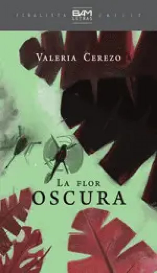 La Flor Oscura