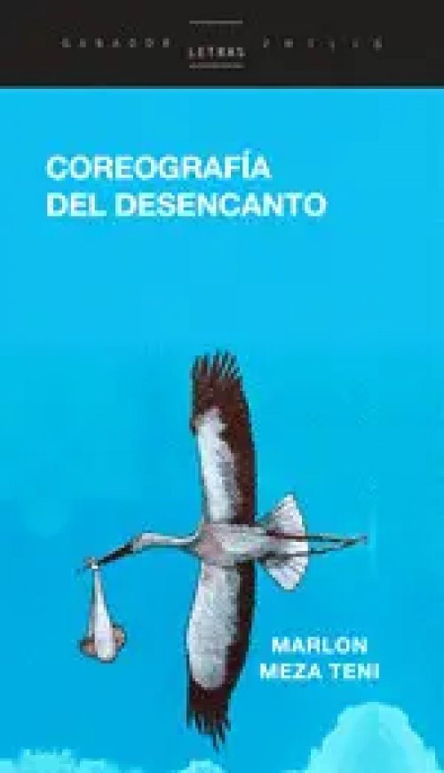 Coreografía del Desencanto