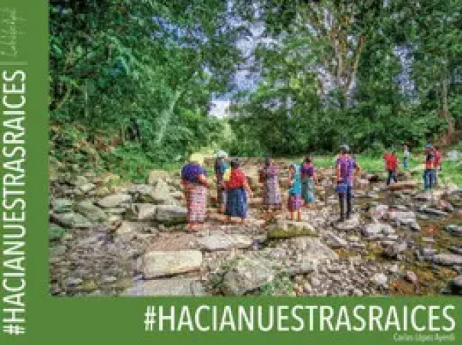 Hacia nuestras Raices