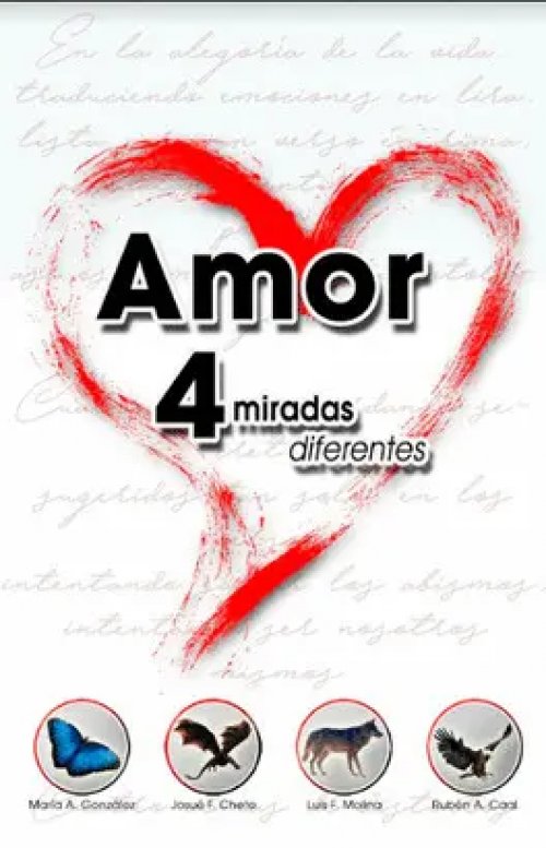 Amor, 4 Miradas Diferentes