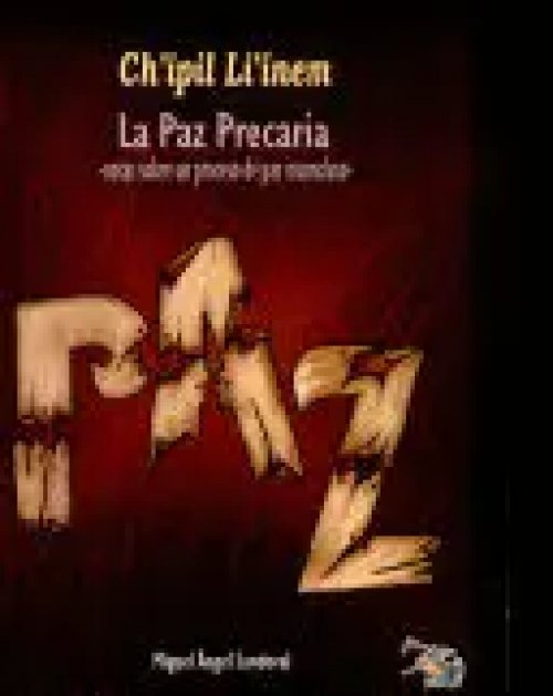 La Paz Precaria