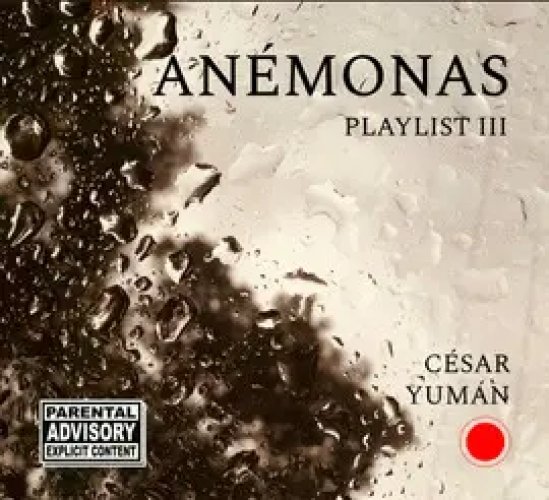 ANÉMONAS
