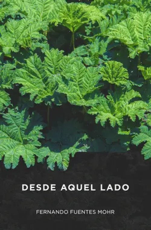 Desde aquel Lado