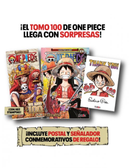 ONE PIECE 100