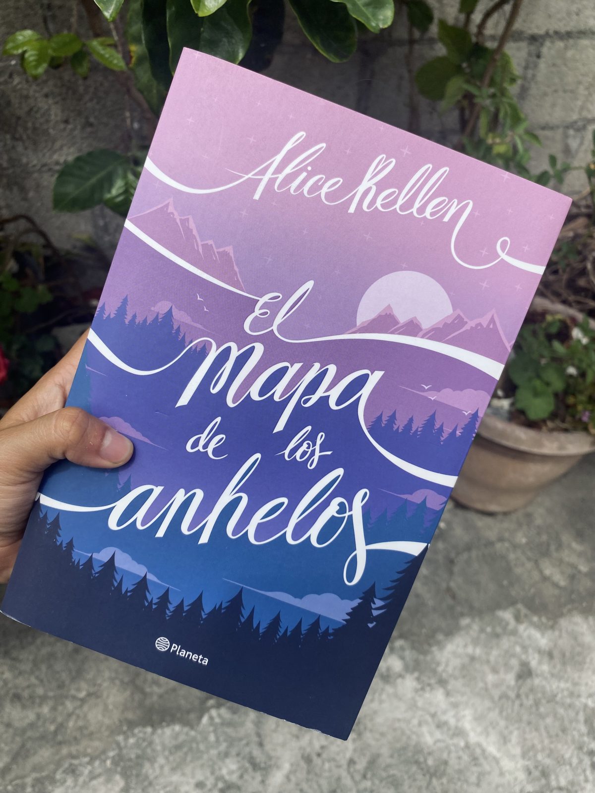 El mapa de los anhelos - ejemplar de segunda mano