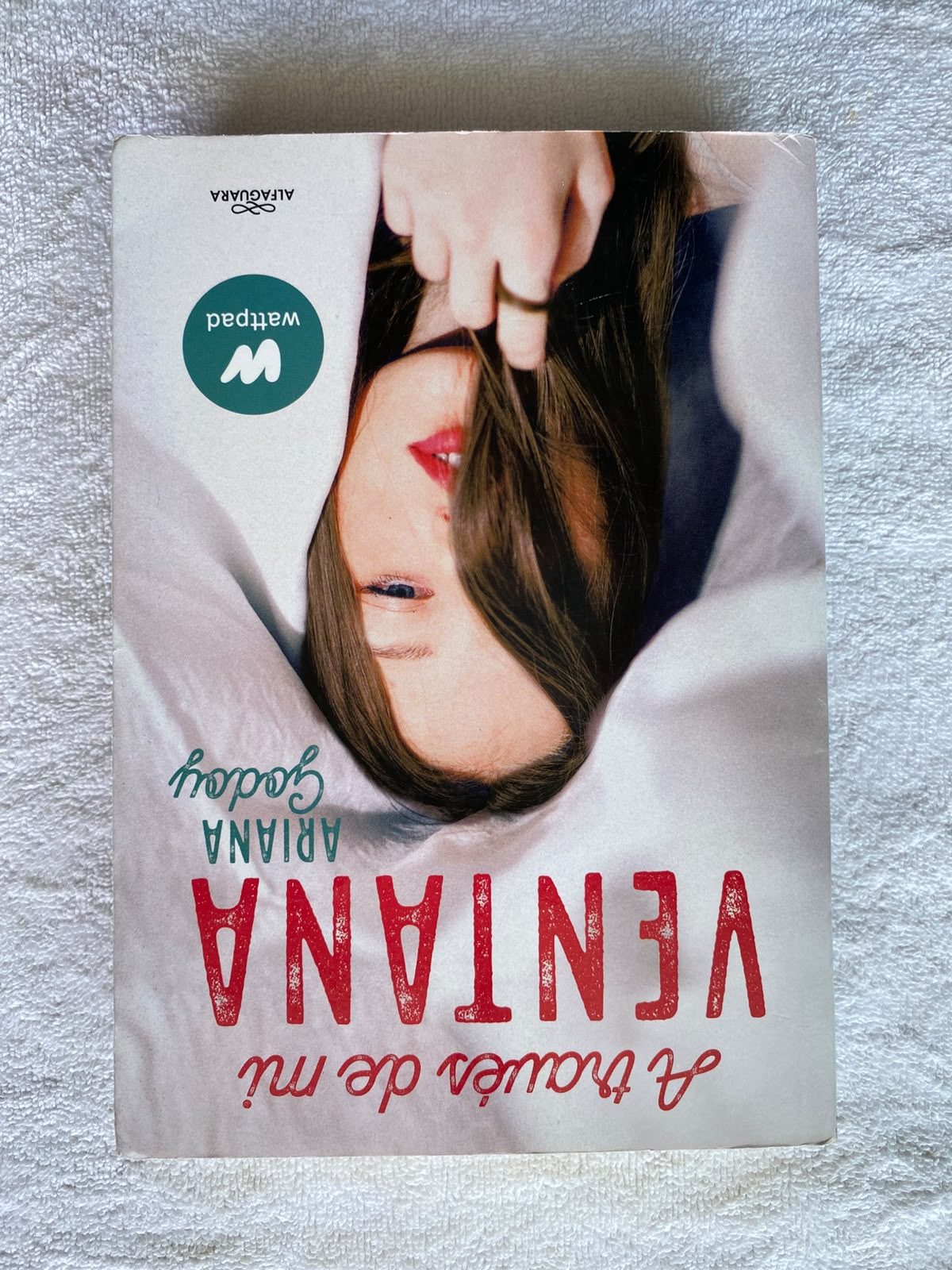 A Través de mi Ventana (Trilogía Hermanos Hidalgo 1)