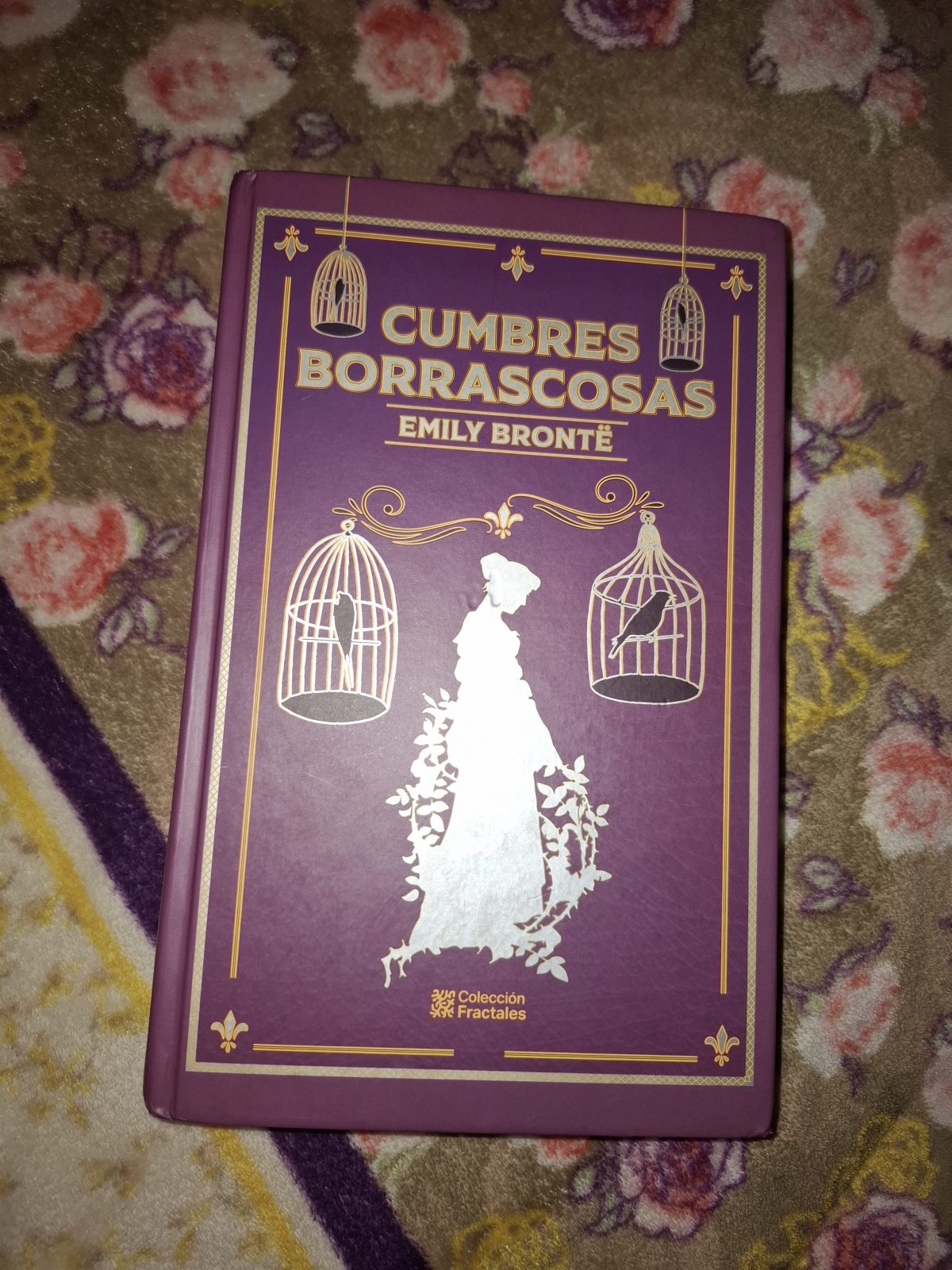 CUMBRES BORRASCOSAS