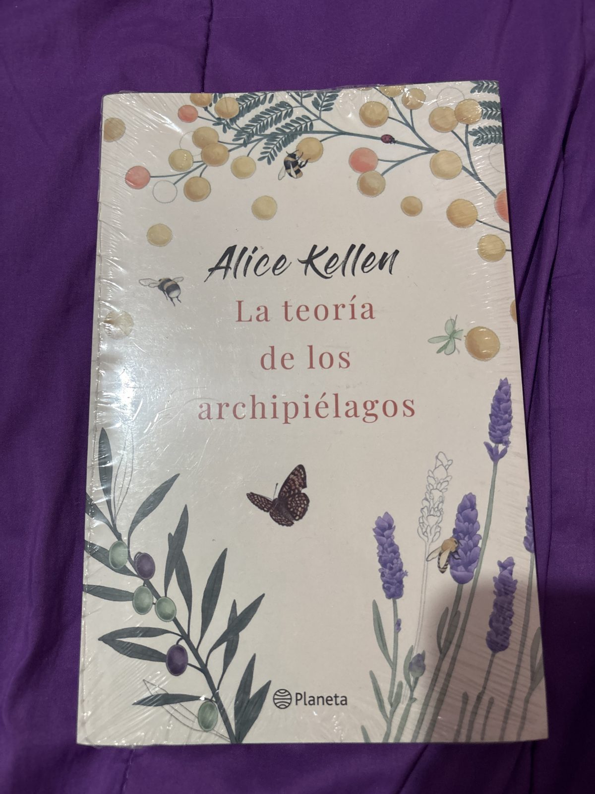 La Teoría de los Archipiélagos