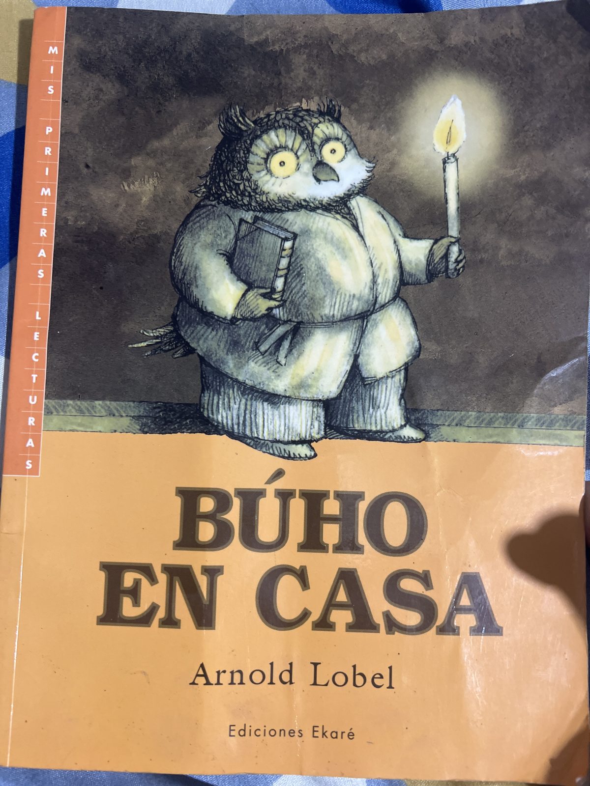Búho en casa