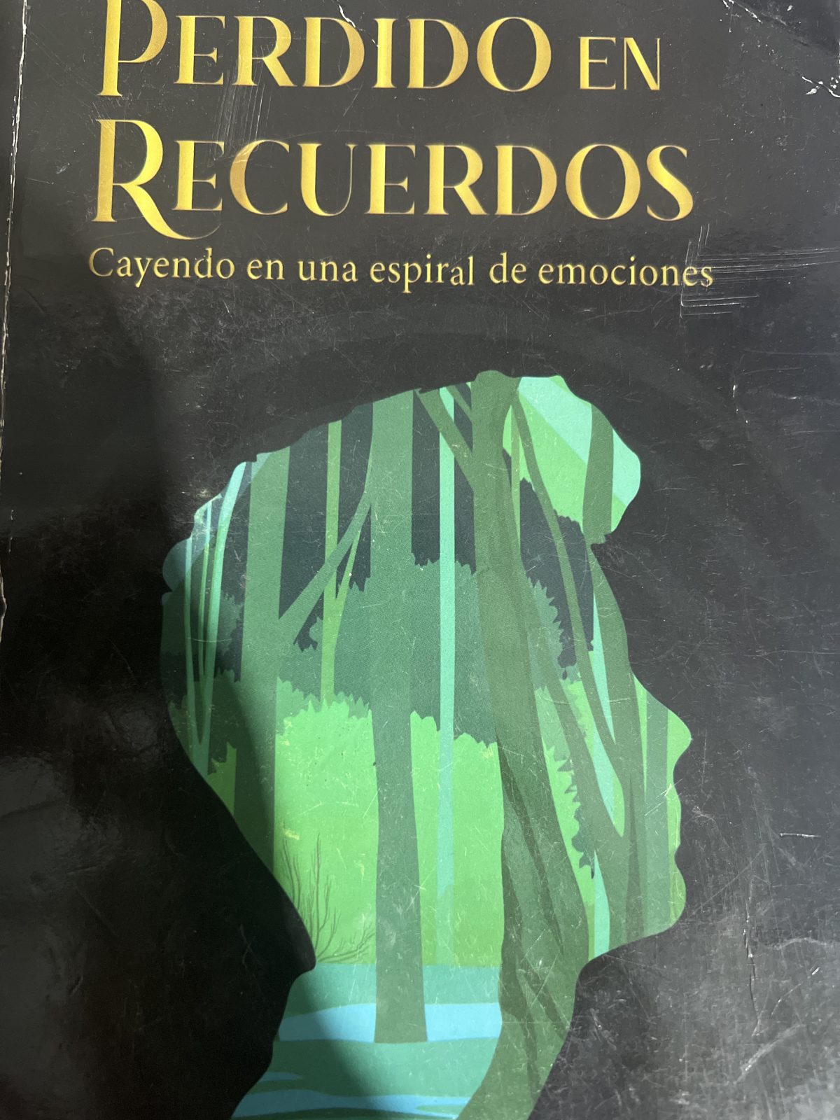 Perdido entre recuerdos